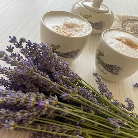 Apartman Senka *